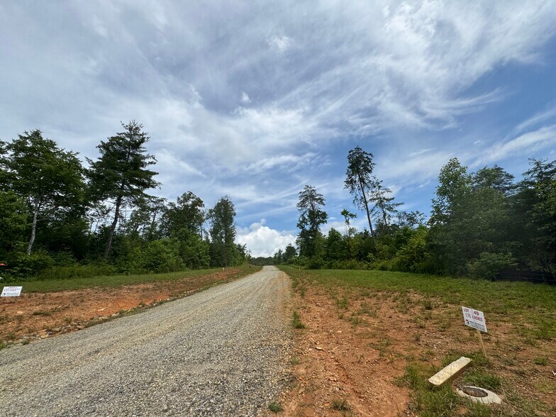 More Photos Of Hwy 515, Morganton Land For Sale