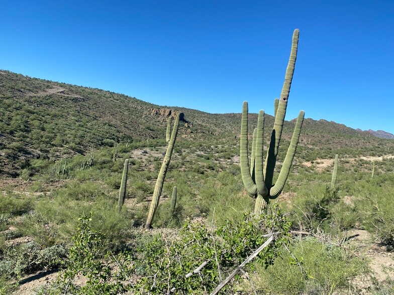More Photos Of Lake Pleasant/ Cow Creek Road, Phoenix Land For Sale