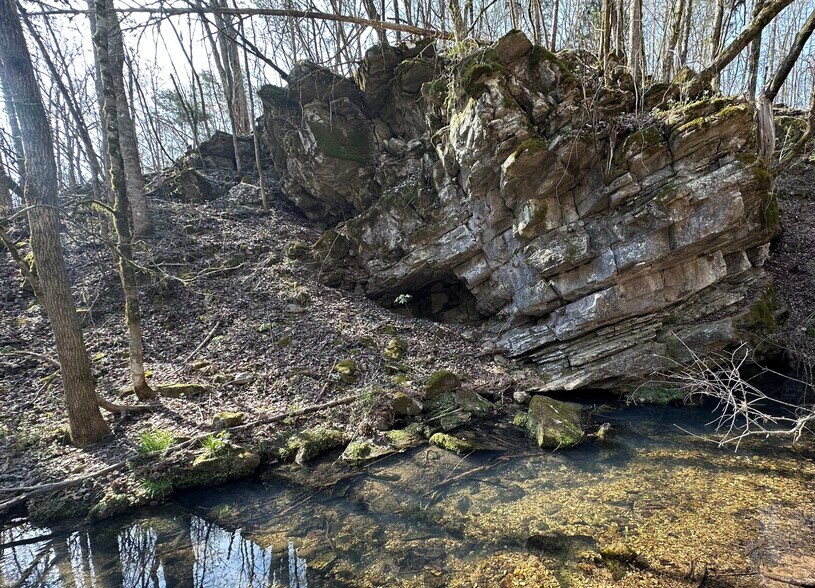 More Photos Of 7312 Highway 60, Georgetown Land For Sale