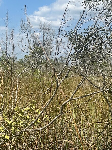 More Photos Of 0 Camellia, Crystal River Land For Sale