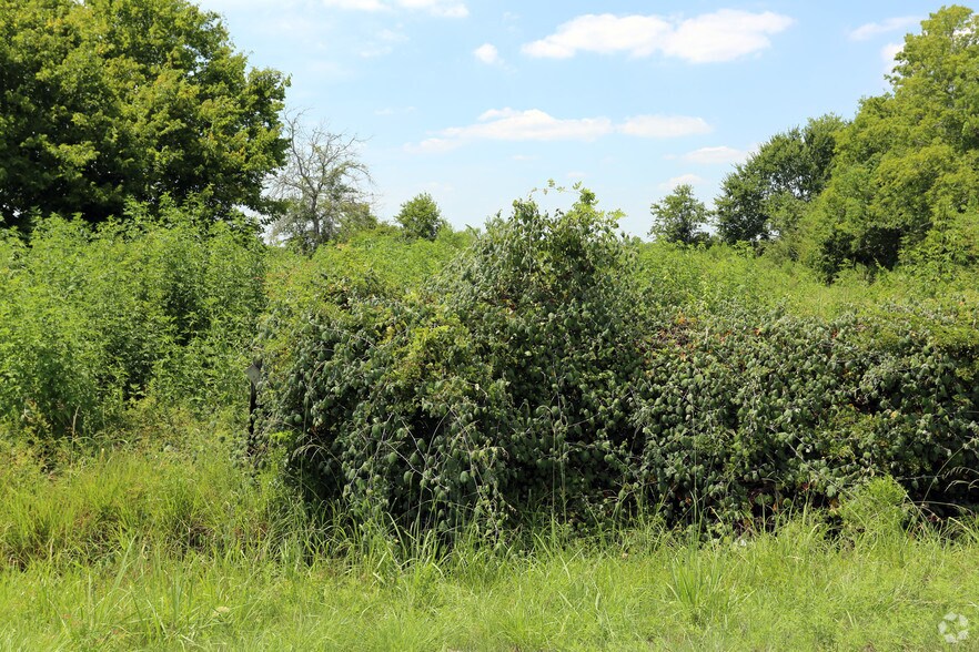 Primary Photo Of 3210 Hwy 35, Alvin Land For Lease