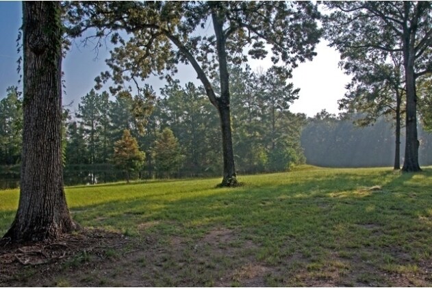 More Photos Of 12244 Serenity Rose Dr, Conroe Lodge Meeting Hall For Sale