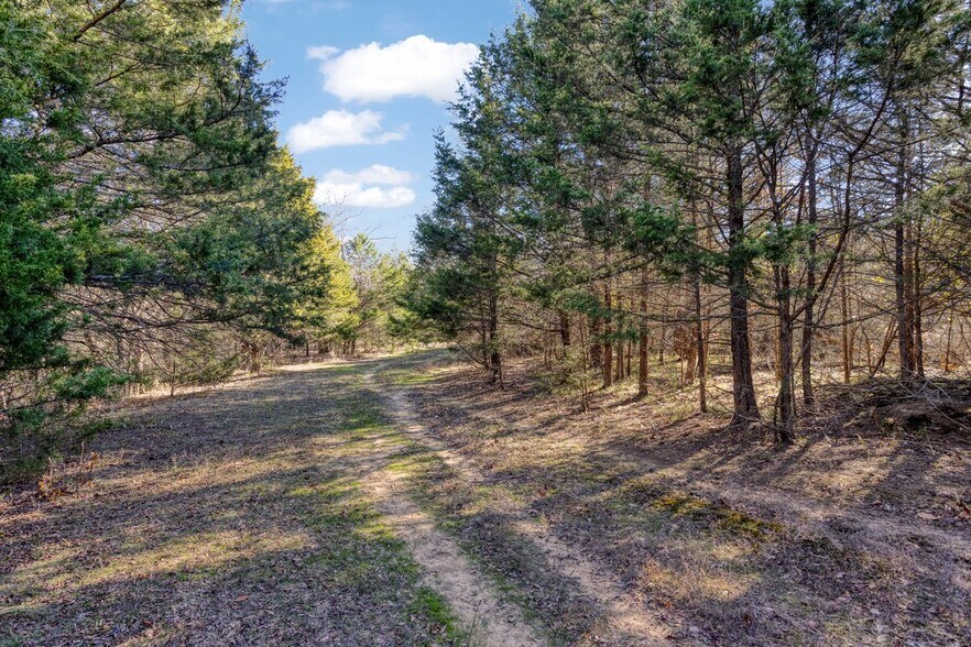 More Photos Of 190202 N 4130 Rd, Antlers Land For Sale