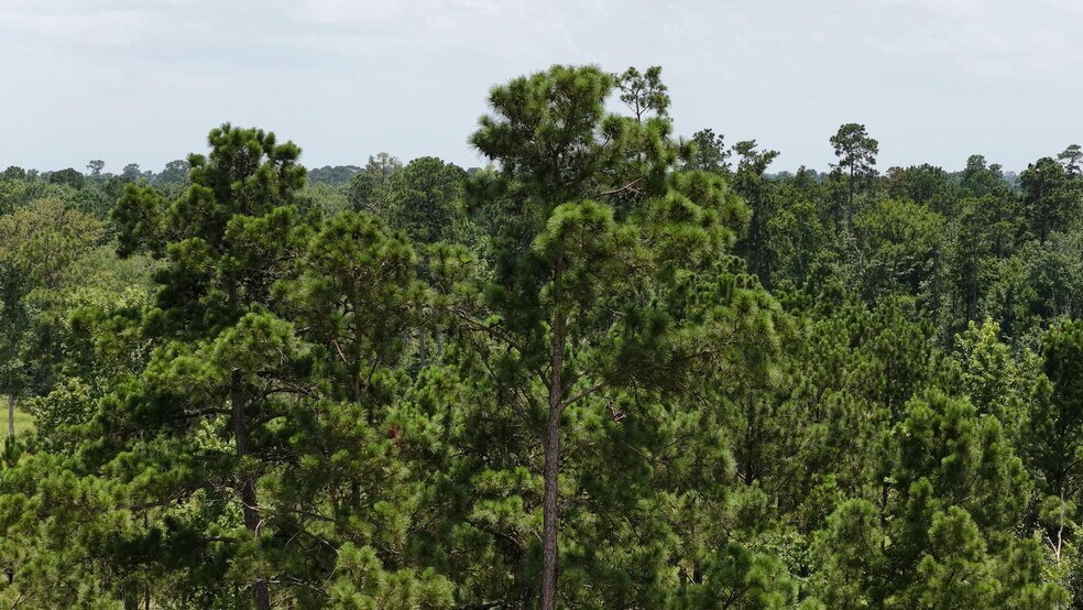 More Photos Of 856 TX-150, New Waverly Land For Sale