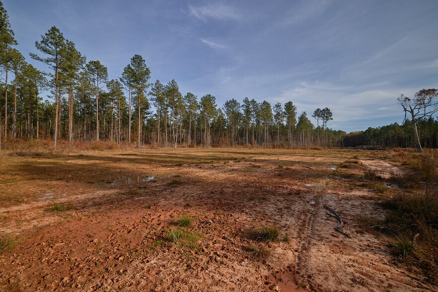 More Photos Of 480 Martin Rd, Cotton Valley Land For Sale