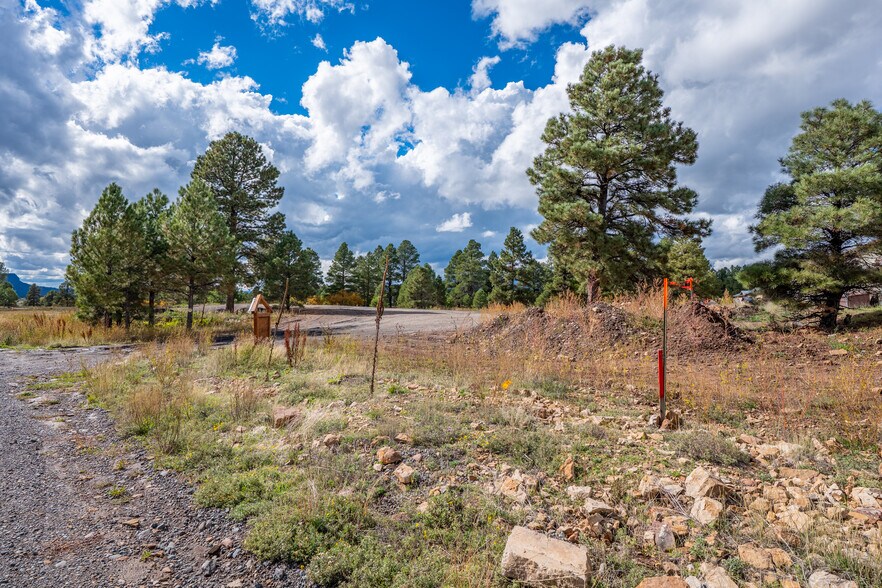 More Photos Of 555 Bastille Drive, Pagosa Springs Land For Sale
