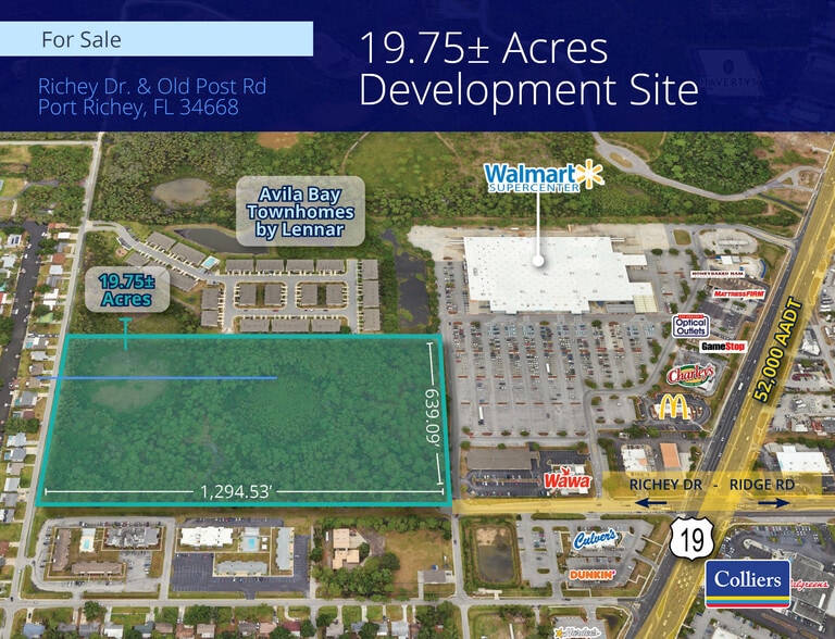 Primary Photo Of Richey Drive, Port Richey Land For Sale