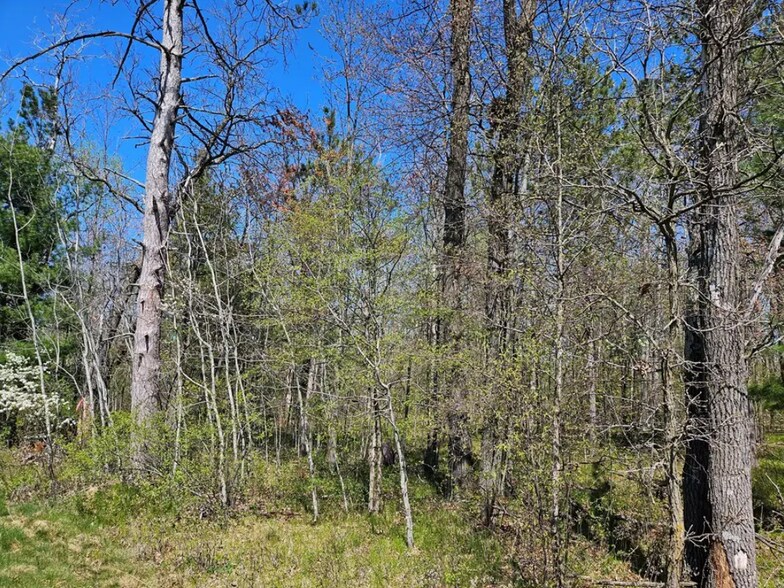 More Photos Of 2935 S Wisconsin Ave, Rice Lake Land For Sale
