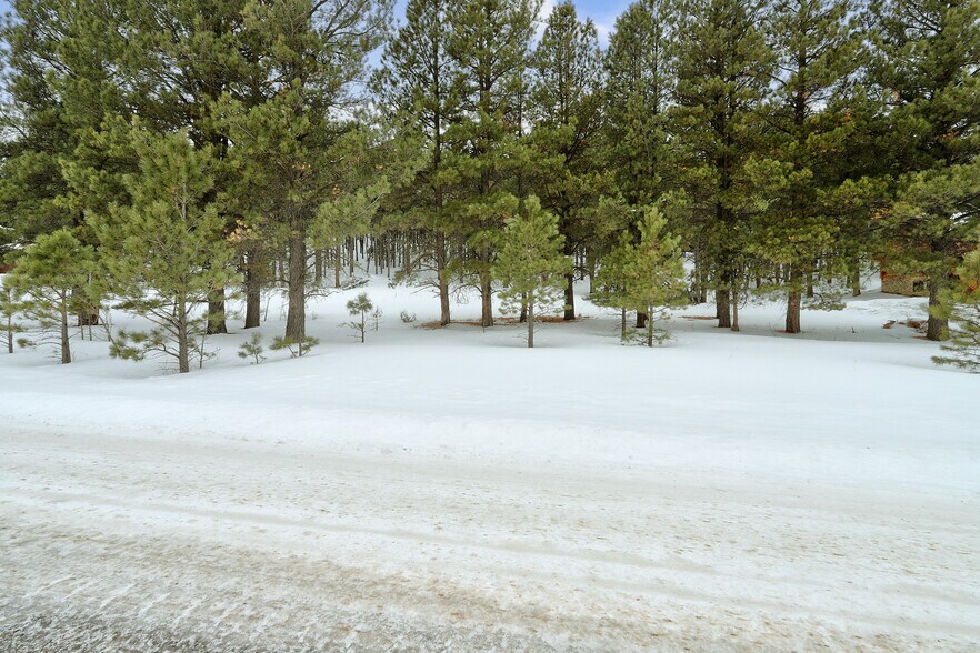 More Photos Of Lot 21A Golf View Terrace, Angel Fire Land For Sale