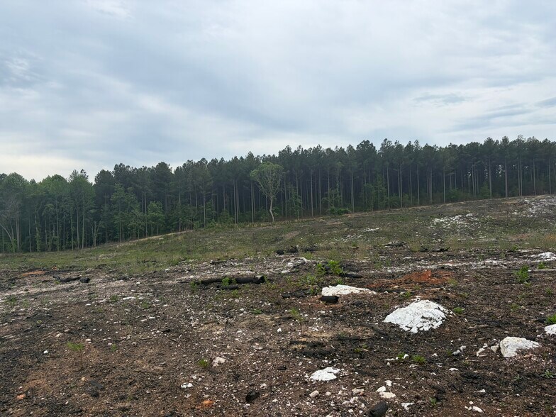 More Photos Of TBD Tarry Church Rd, Star Land For Sale