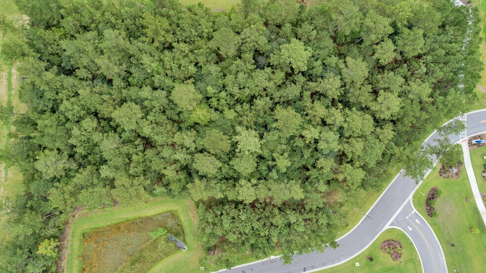 More Photos Of 2500 Fort Argyle Rd ext, Bloomingdale Land For Sale