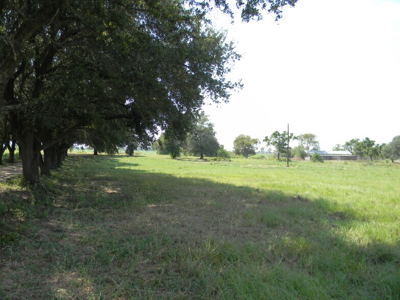 More Photos Of 17845 Fm 362 Rd, Waller Land For Sale