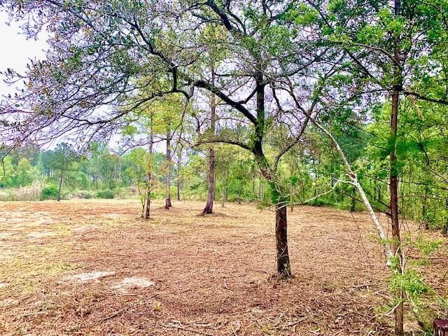 More Photos Of 0 7th street, Bay Minette Land For Sale