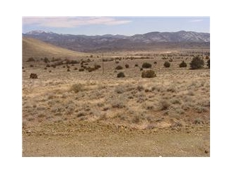 Primary Photo Of 320 Highway 341, Carson City Land For Sale