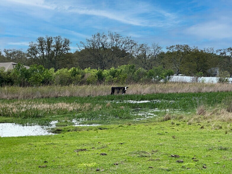 More Photos Of 2809 Rws Ranch Rd, Davenport Land For Sale