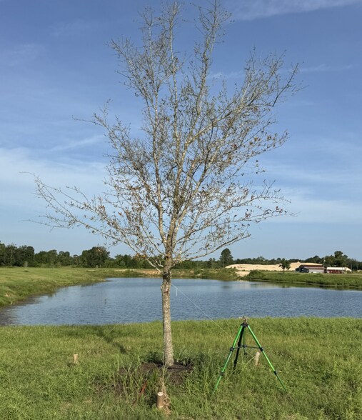 More Photos Of CR-2132, Cleveland Land For Sale