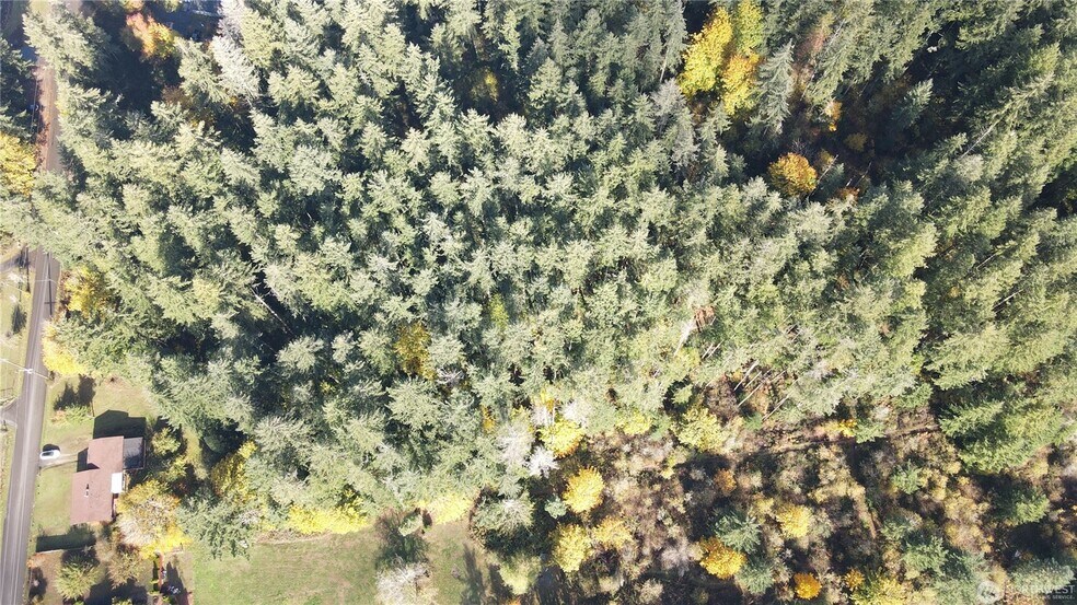 More Photos Of 1216 Kaiser Rd SW, Olympia Land For Sale