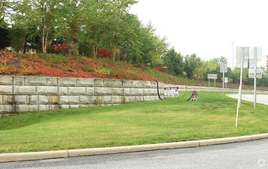 More Photos Of 1037 Bank St, Painesville Land For Sale