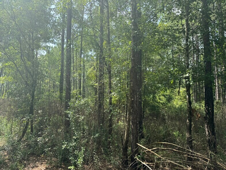 More Photos Of 0 Nokomis Road, Walnut Hill Land For Sale