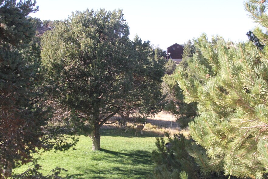 More Photos Of 1627 950 South, Parowan Land For Sale
