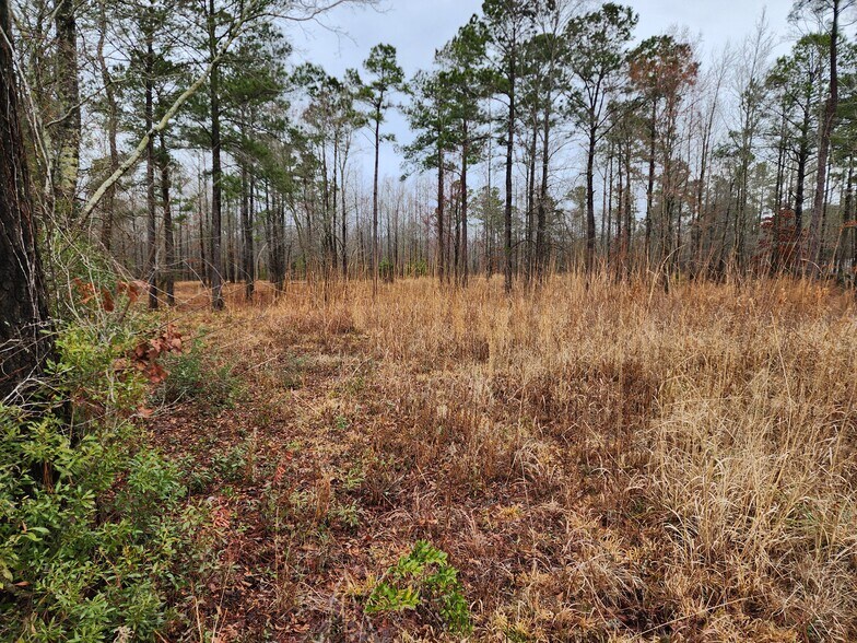 More Photos Of 8055 US-17, Vanceboro Land For Sale