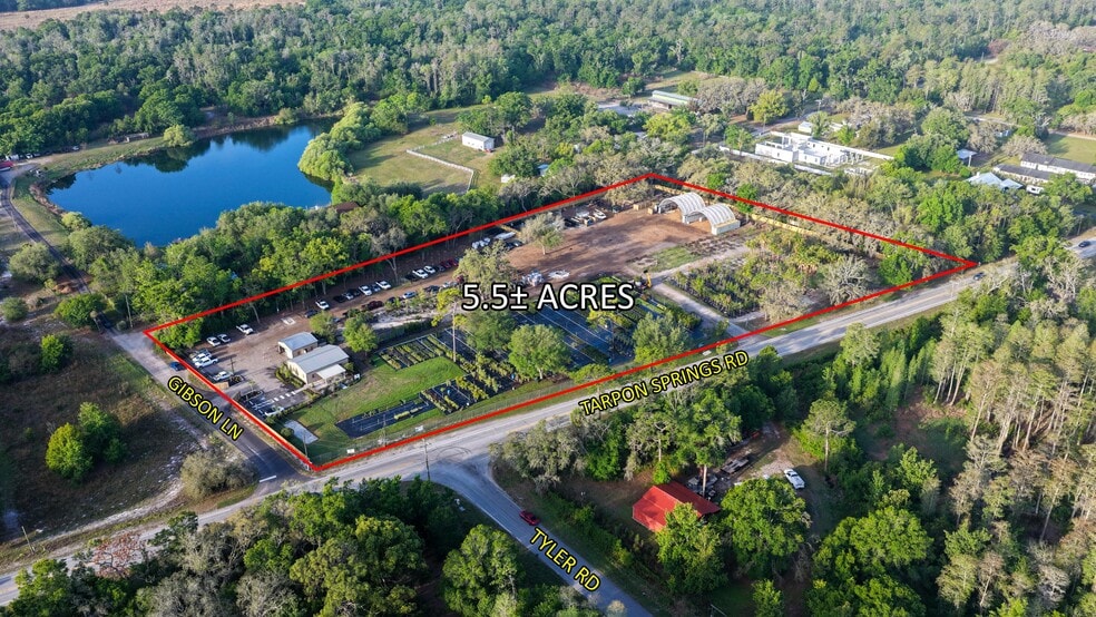 Primary Photo Of 12980 Tarpon Springs Rd, Odessa Land For Sale