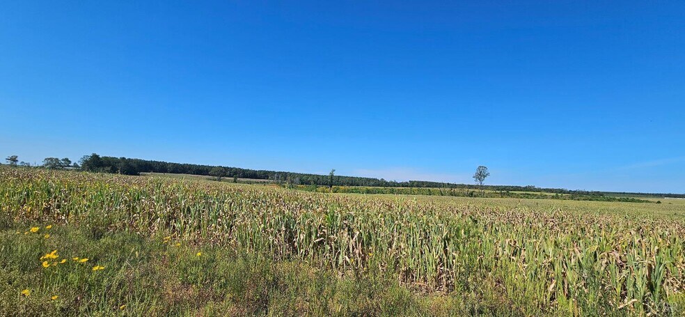 More Photos Of Glenmore Road, Scottsville Land For Sale