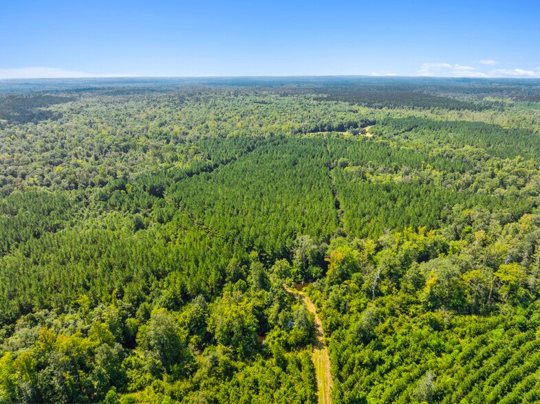 More Photos Of 7471 Highway 155, Saline Land For Sale