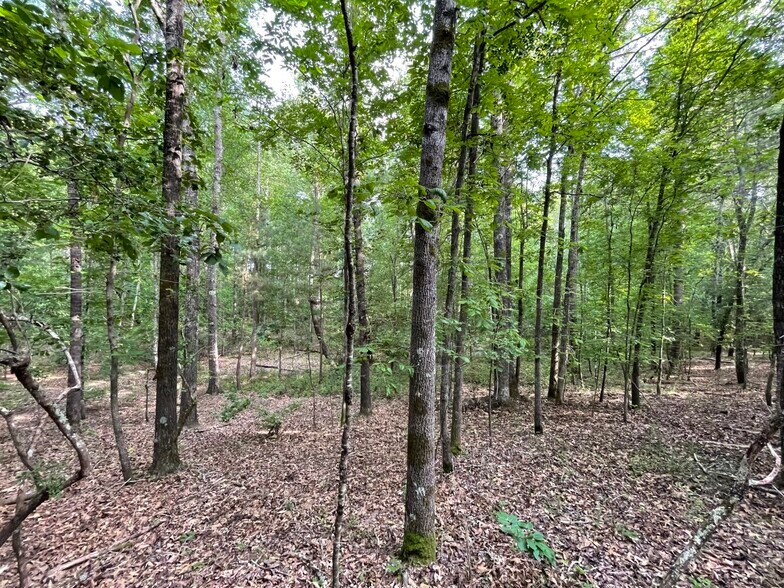 More Photos Of 229 Colbert Bridge Road, Windsor Land For Sale