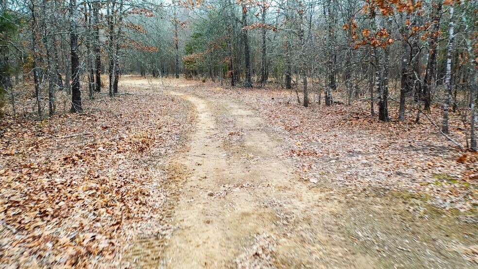 More Photos Of 1200 County 1255 rd, Detroit Land For Sale