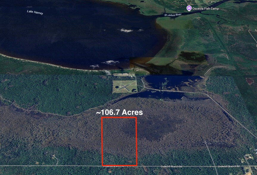 Primary Photo Of Lake Harney Rd, Osteen Land For Sale