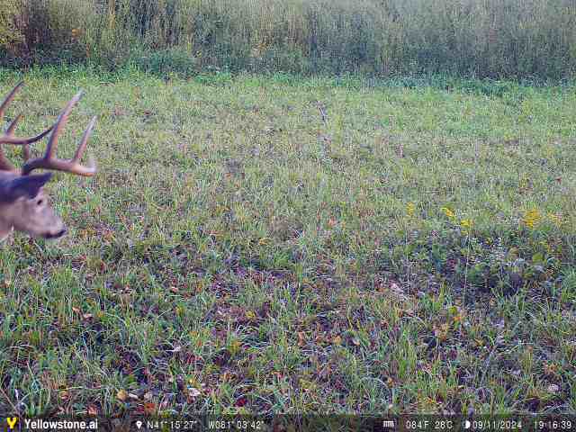 More Photos Of Bryant & SR 82 rd, Garrettsville Land For Sale