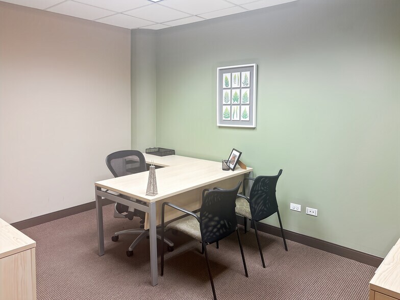 More Photos Of 5250 Old Orchard Rd, Skokie Coworking Space