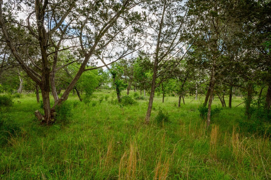 More Photos Of 114 Bledsoe Ranch Road, Center Point Land For Sale