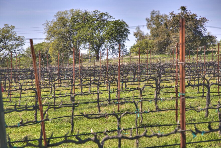 More Photos Of 7505 Wise Rd, Auburn Winery Vineyard For Sale