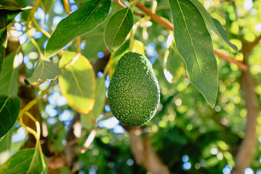 More Photos Of 1047 N San Gabriel Ave, Azusa Apartments For Sale