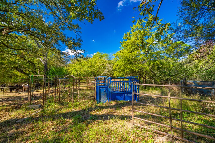 More Photos Of 391 Farm to Market 1519, Scroggins Land For Sale