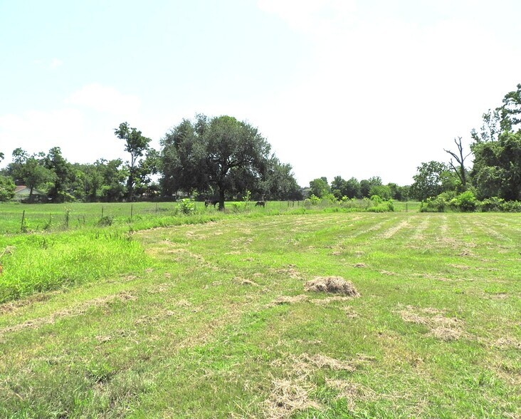 More Photos Of 6100 Stuebner Airline Rd, Houston Land For Sale
