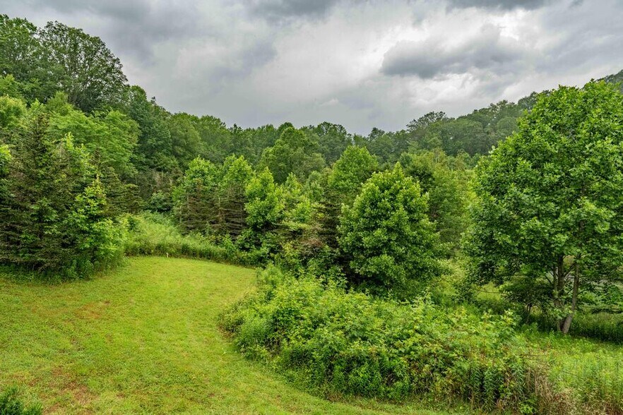 Primary Photo Of 306 Bear Branch rd, Roan Mountain Land For Sale