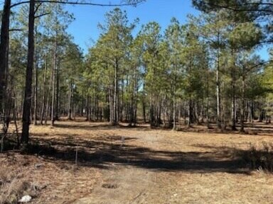 Primary Photo Of North Fraser St, Georgetown Land For Sale