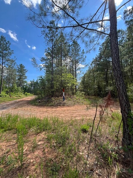 More Photos Of 00 00 Youngstown Rd, Goochland Land For Sale
