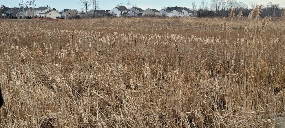 More Photos Of 6420 Lakeshore Rd, Cicero Land For Sale