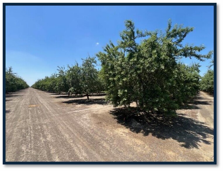 More Photos Of Avenue 192, Strathmore Land For Sale