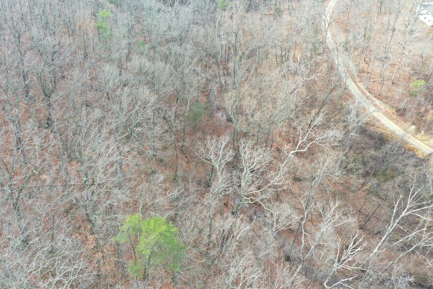 More Photos Of 155 White Fox Trl, Harpers Ferry Land For Sale