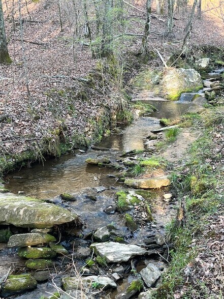 More Photos Of 0 Murphy Trl, Ball Ground Land For Sale