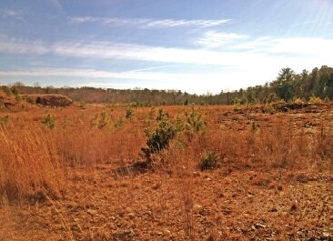 More Photos Of 435 Upper Salem Rd, Jasper Land For Sale