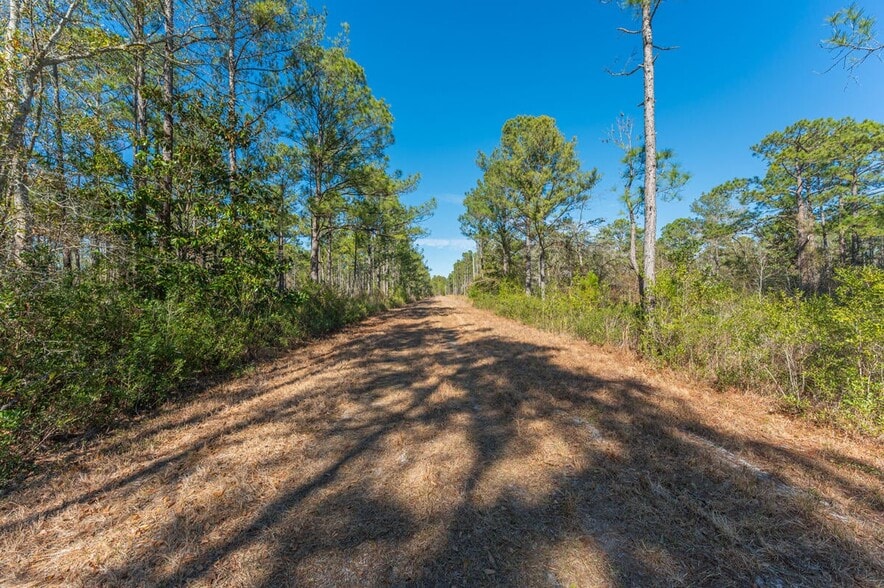 More Photos Of Hwy 331 S & Jolly Bay Road, Freeport Land For Sale