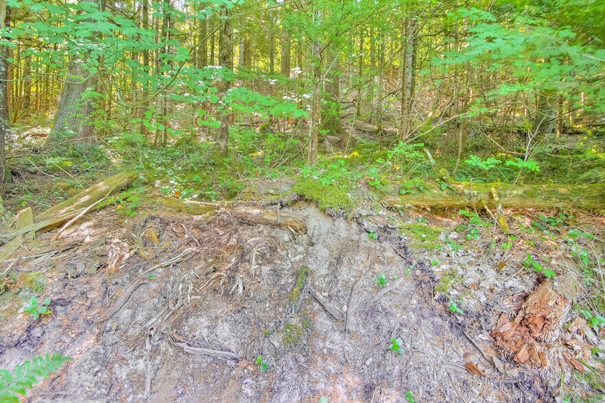 More Photos Of 32750 343rd Ave SE, Ravensdale Land For Sale