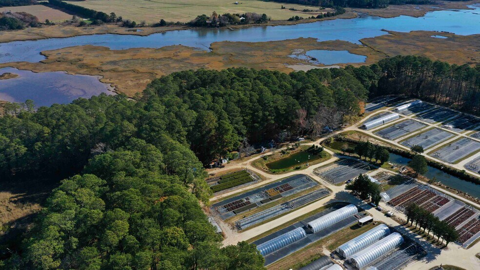 More Photos Of 22511 Rose Cottage Rd, Locustville Specialty For Sale