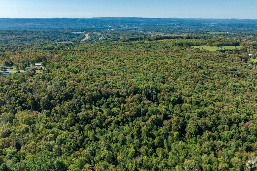 More Photos Of 6520 Mallory Rd, Marcy Land For Sale